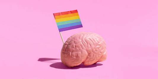 Introducción a las banderas LGTB