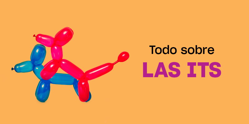todo sobre las its
