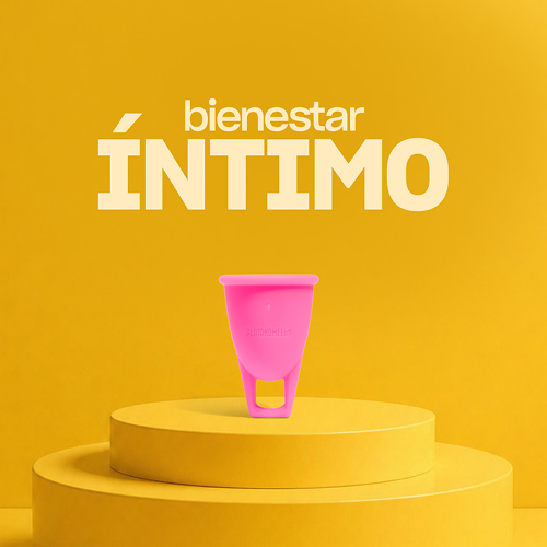 Categoría de 